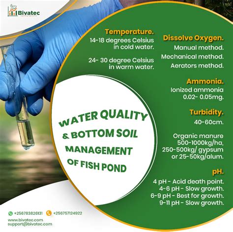 water quality for swimming in my area